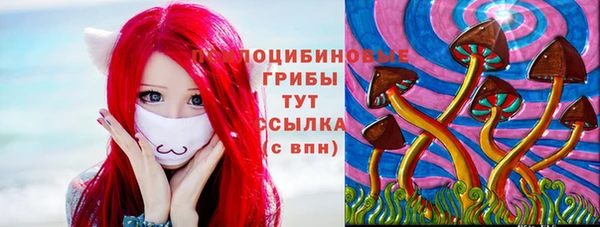 ГАЛЛЮЦИНОГЕННЫЕ ГРИБЫ Арсеньев