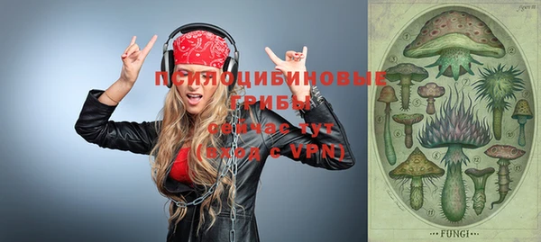ГАЛЛЮЦИНОГЕННЫЕ ГРИБЫ Арсеньев