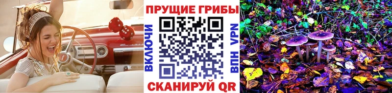Псилоцибиновые грибы Cubensis  купить  сайты  Торжок 